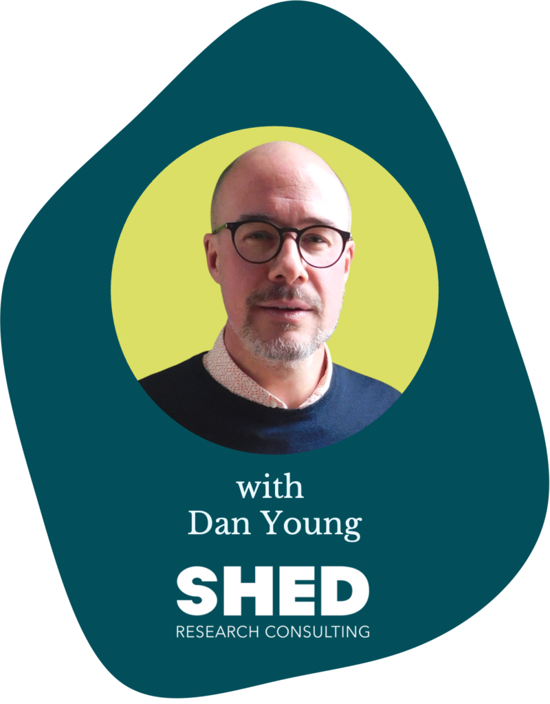 Dan Young - Shed Consulting - Insight Platforms Academy